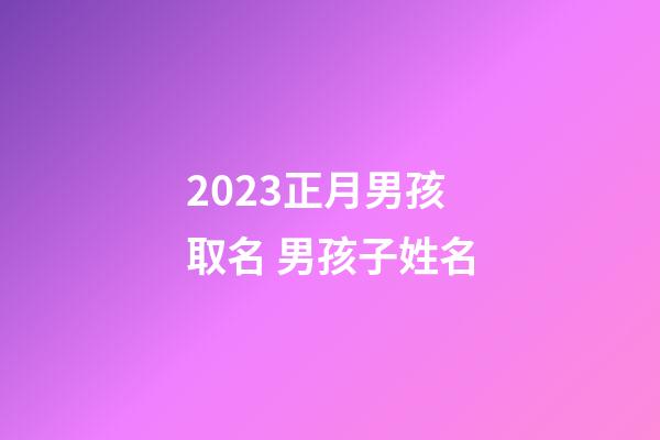 2023正月男孩取名 男孩子姓名